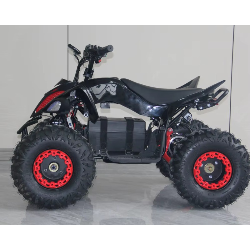 48V 1000W Electric Kids ATV 4  - Kids Outdoor Electric Quad recension och pris