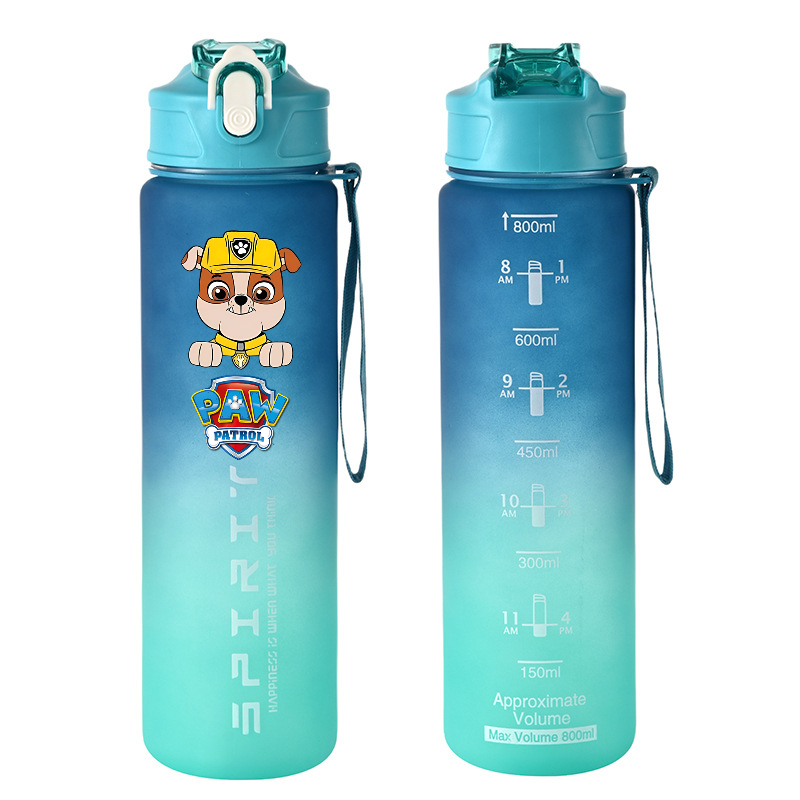 800ml PAW Patrol Sports Water  - Kids Outdoor Water recension och pris