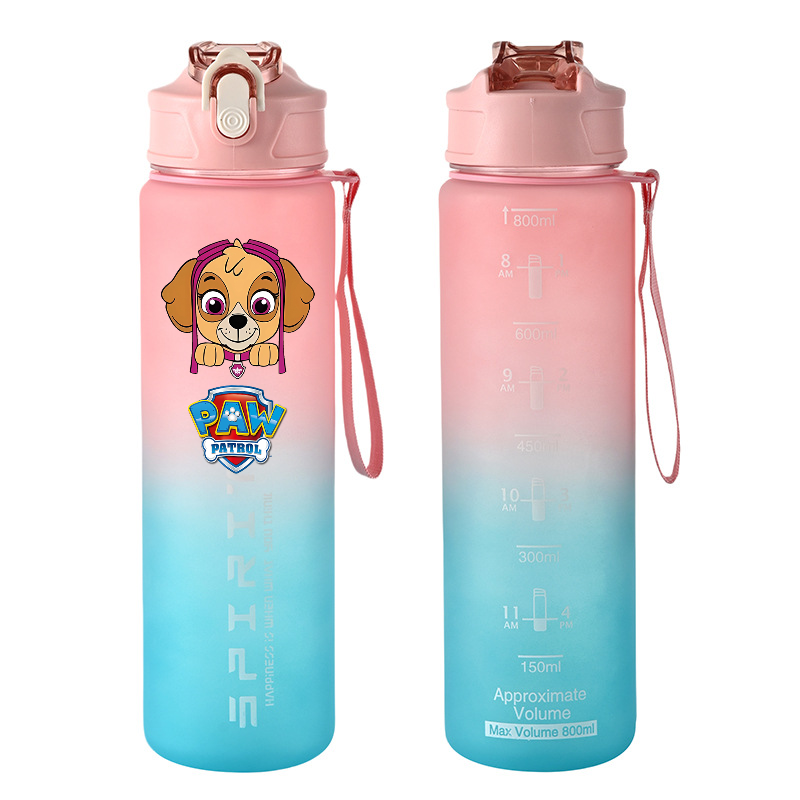 800ml PAW Patrol Sports Water  - Kids Outdoor Water recension och pris