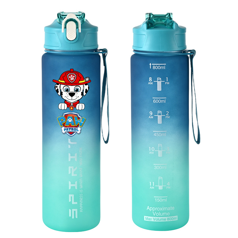 800ml PAW Patrol Sports Water  - Kids Outdoor Water recension och pris